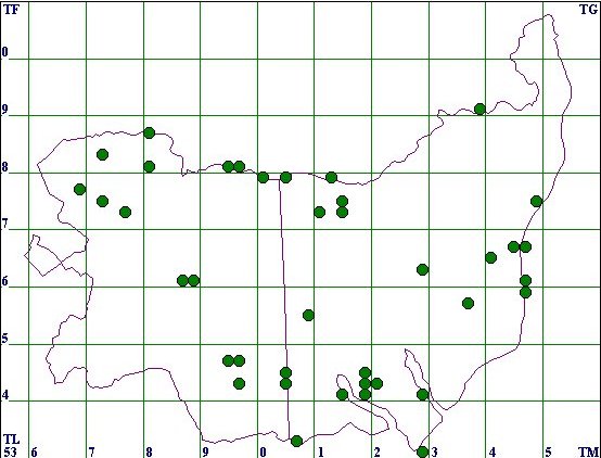 Distrubution map for Phlyctaenia perlucidalis