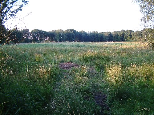 Redgrave Fen