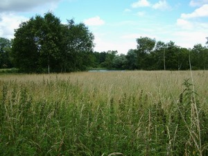 Lackford Lakes