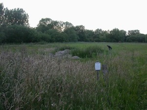 Thelnetham Fen